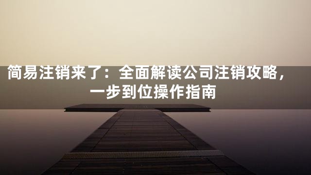 简易注销来了：全面解读公司注销攻略，一步到位操作指南