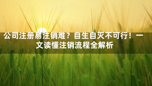 公司注册易注销难？自生自灭不可行！一文读懂注销流程全解析
