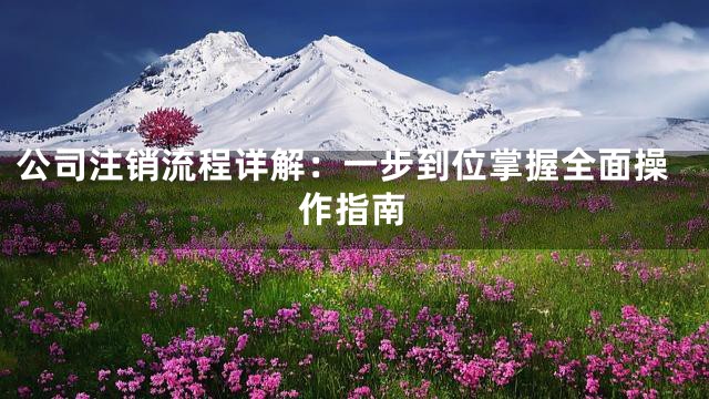 公司注销流程详解：一步到位掌握全面操作指南