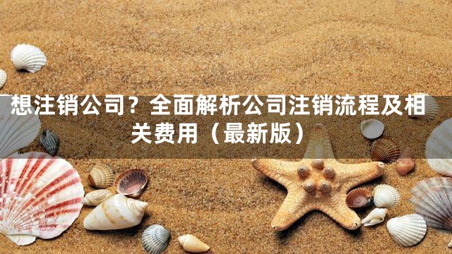 想注销公司？全面解析公司注销流程及相关费用（最新版）