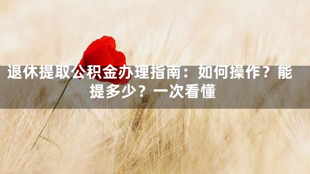 退休提取公积金办理指南：如何操作？能提多少？一次看懂