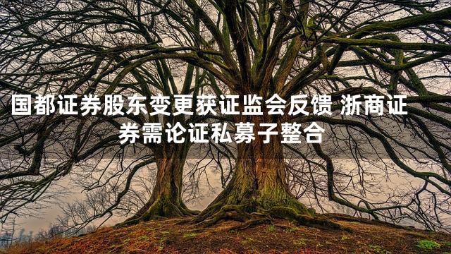 国都证券股东变更获证监会反馈 浙商证券需论证私募子整合