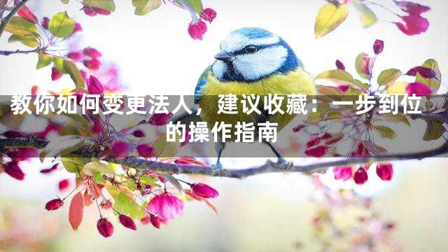 教你如何变更法人，建议收藏：一步到位的操作指南