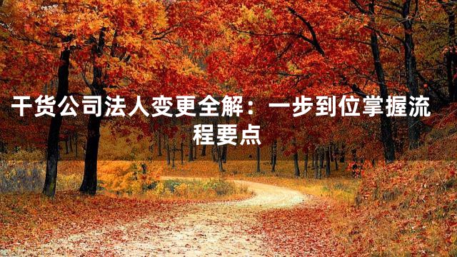 干货公司法人变更全解：一步到位掌握流程要点