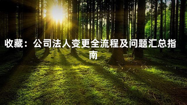 收藏：公司法人变更全流程及问题汇总指南