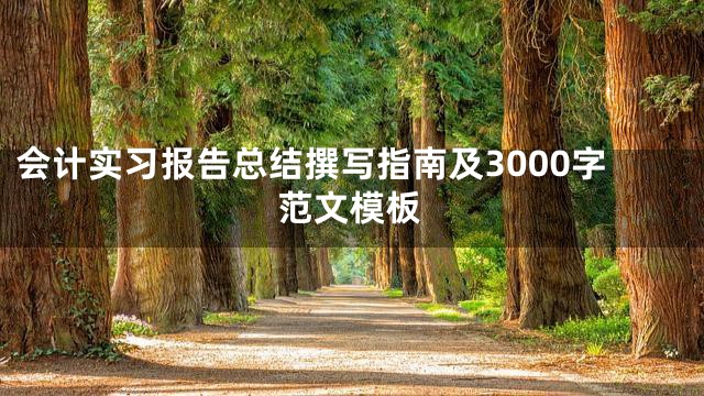 会计实习报告总结撰写指南及3000字范文模板