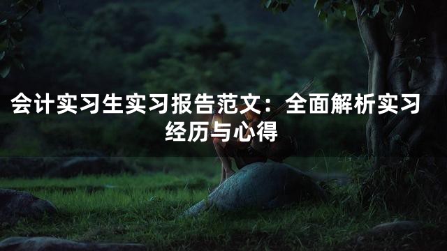会计实习生实习报告范文：全面解析实习经历与心得