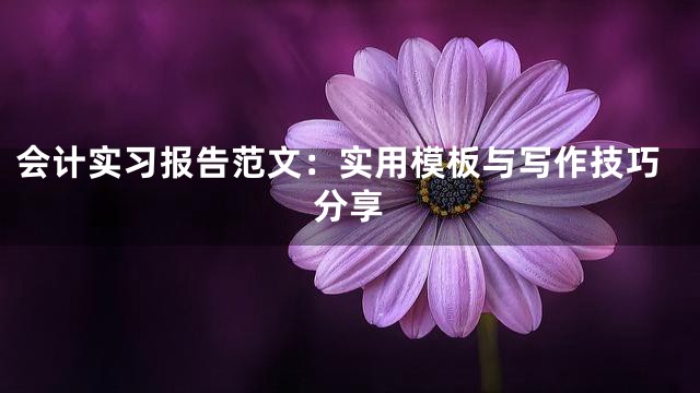 会计实习报告范文：实用模板与写作技巧分享