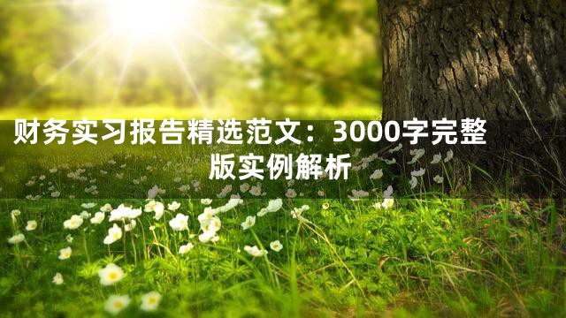 财务实习报告精选范文：3000字完整版实例解析