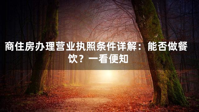 商住房办理营业执照条件详解：能否做餐饮？一看便知