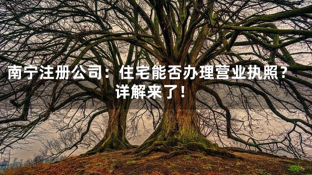 南宁注册公司：住宅能否办理营业执照？详解来了！