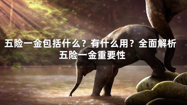 五险一金包括什么？有什么用？全面解析五险一金重要性