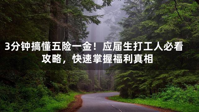 3分钟搞懂五险一金！应届生打工人必看攻略，快速掌握福利真相