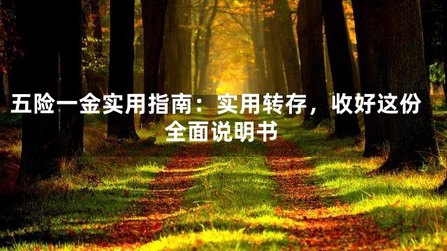 五险一金实用指南：实用转存，收好这份全面说明书