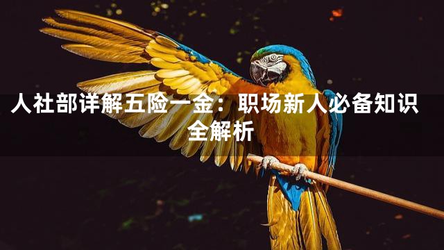 人社部详解五险一金：职场新人必备知识全解析