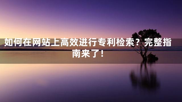 如何在网站上高效进行专利检索？完整指南来了！