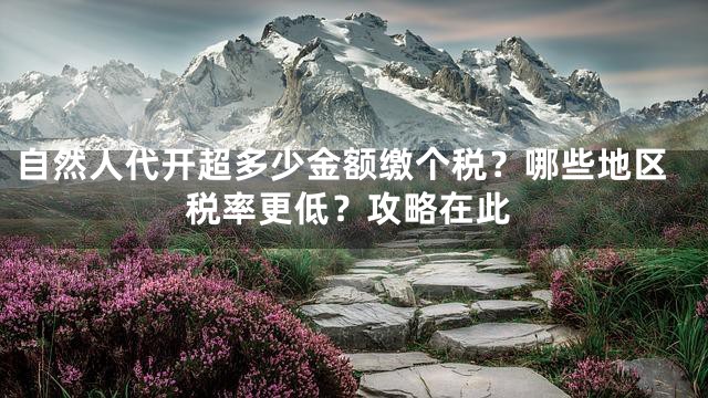 自然人代开超多少金额缴个税？哪些地区税率更低？攻略在此