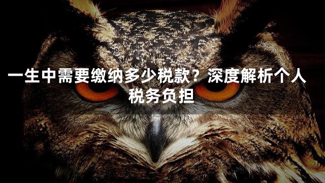 一生中需要缴纳多少税款？深度解析个人税务负担