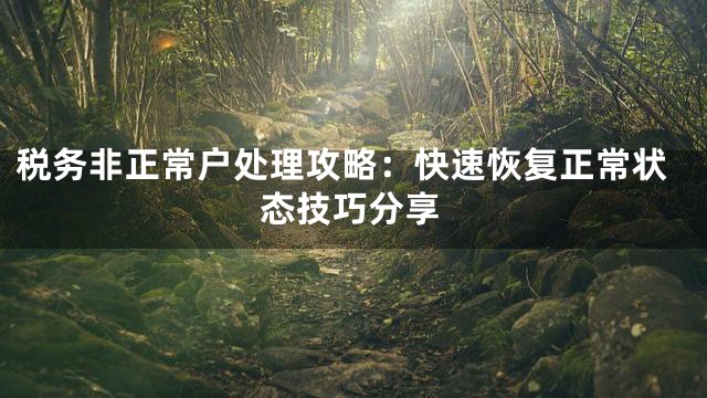 税务非正常户处理攻略：快速恢复正常状态技巧分享