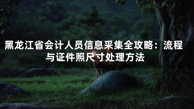黑龙江省会计人员信息采集全攻略：流程与证件照尺寸处理方法
