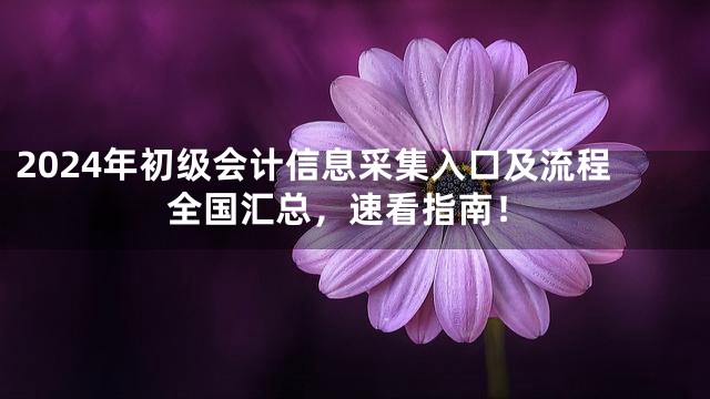 2024年初级会计信息采集入口及流程全国汇总，速看指南！