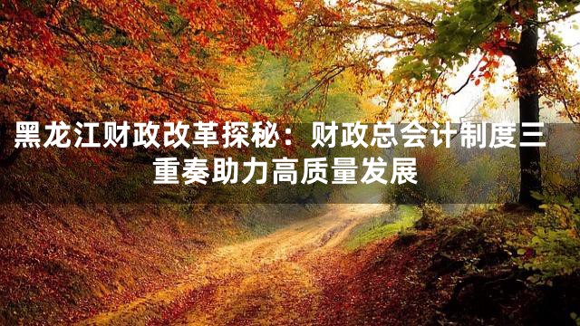 黑龙江财政改革探秘：财政总会计制度三重奏助力高质量发展