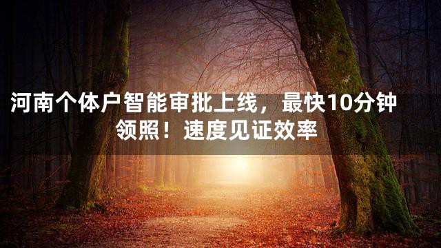 河南个体户智能审批上线，最快10分钟领照！速度见证效率