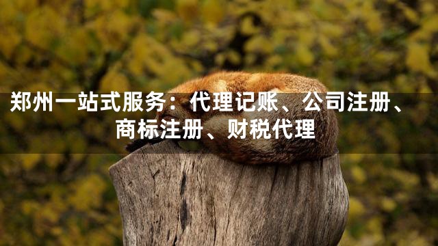 郑州一站式服务：代理记账、公司注册、商标注册、财税代理