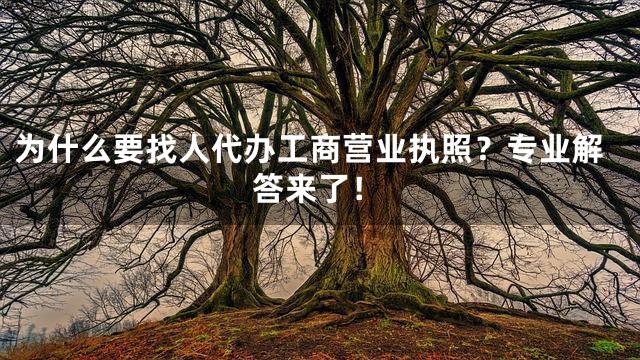 为什么要找人代办工商营业执照？专业解答来了！