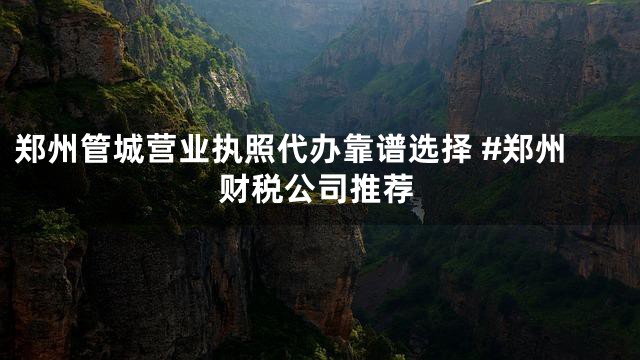 郑州管城营业执照代办靠谱选择 #郑州财税公司推荐