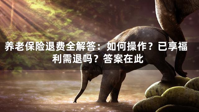 养老保险退费全解答：如何操作？已享福利需退吗？答案在此