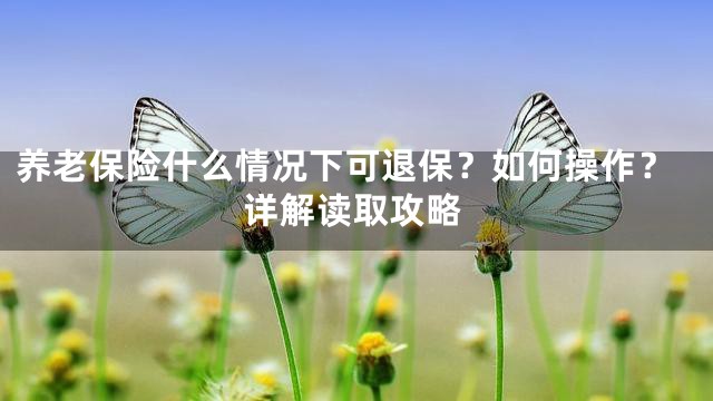 养老保险什么情况下可退保？如何操作？详解读取攻略