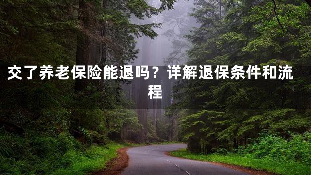 交了养老保险能退吗？详解退保条件和流程