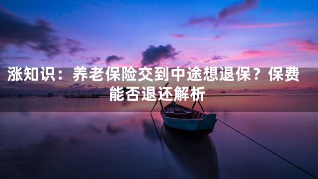 涨知识：养老保险交到中途想退保？保费能否退还解析