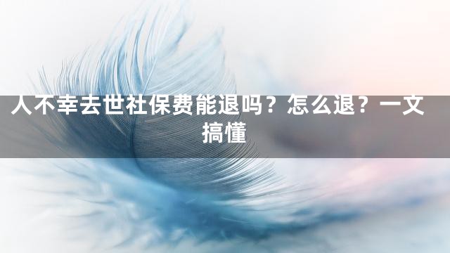 人不幸去世社保费能退吗？怎么退？一文搞懂