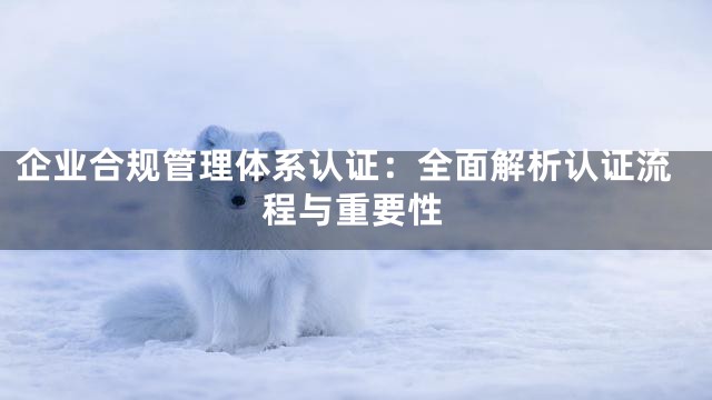 企业合规管理体系认证：全面解析认证流程与重要性