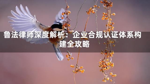 鲁法律师深度解析：企业合规认证体系构建全攻略
