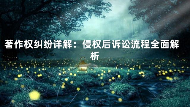 著作权纠纷详解：侵权后诉讼流程全面解析