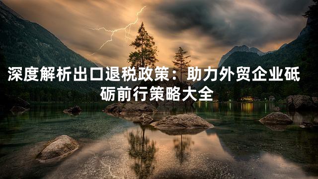 深度解析出口退税政策：助力外贸企业砥砺前行策略大全