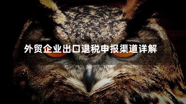 外贸企业出口退税申报渠道详解