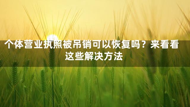 个体营业执照被吊销可以恢复吗？来看看这些解决方法