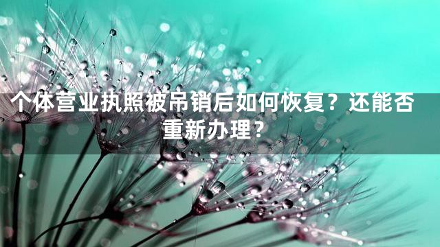 个体营业执照被吊销后如何恢复？还能否重新办理？
