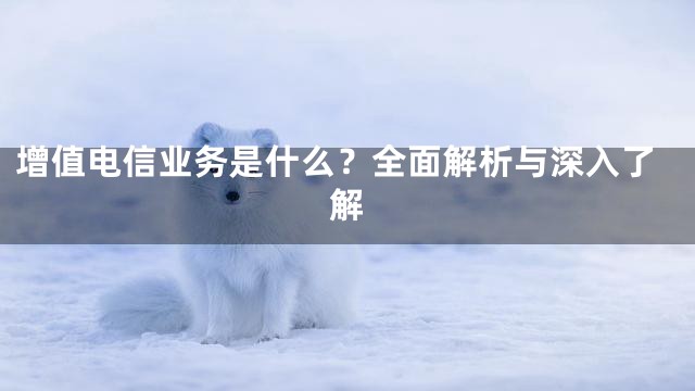 增值电信业务是什么？全面解析与深入了解
