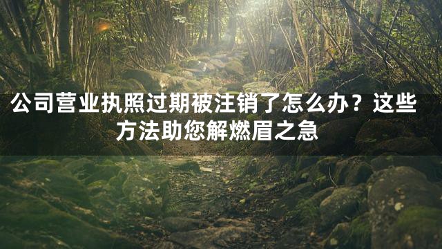 公司营业执照过期被注销了怎么办？这些方法助您解燃眉之急