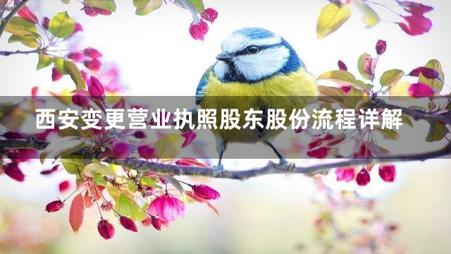 西安变更营业执照股东股份流程详解