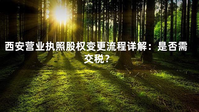 西安营业执照股权变更流程详解：是否需交税？