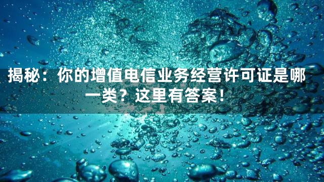 揭秘：你的增值电信业务经营许可证是哪一类？这里有答案！