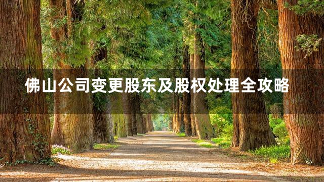 佛山公司变更股东及股权处理全攻略