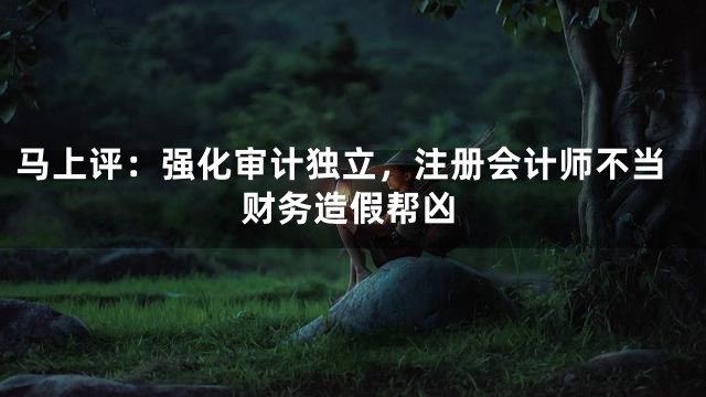 马上评：强化审计独立，注册会计师不当财务造假帮凶