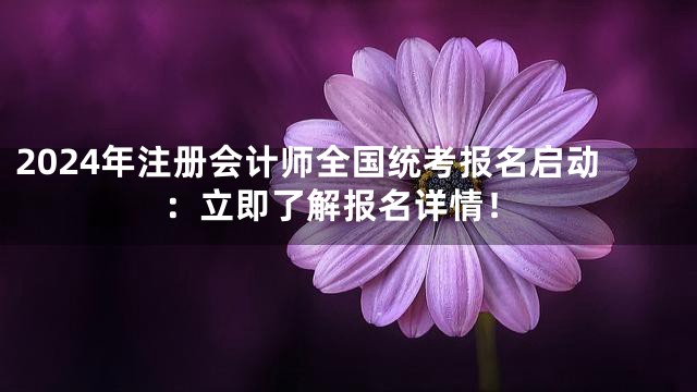 2024年注册会计师全国统考报名启动：立即了解报名详情！